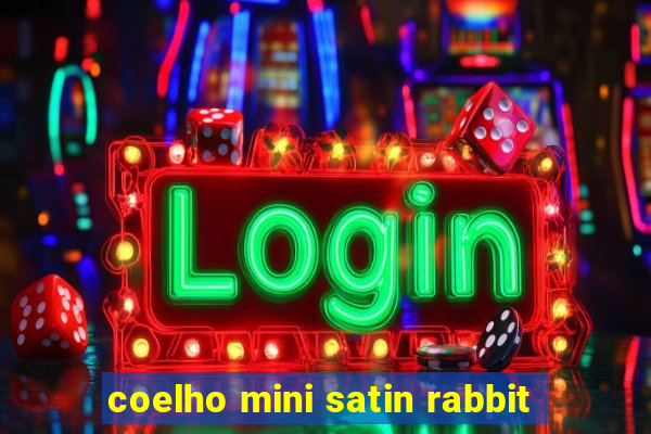 coelho mini satin rabbit